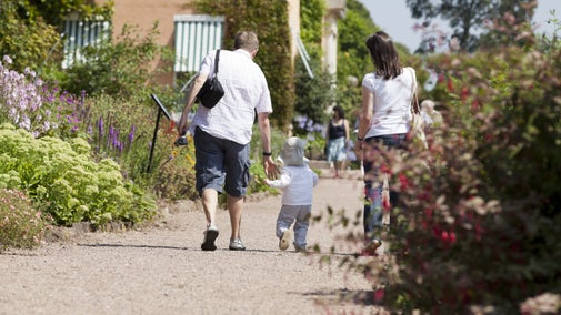 A family walk up a path between flowerbeds in the garden in August at Killerton, Devon.